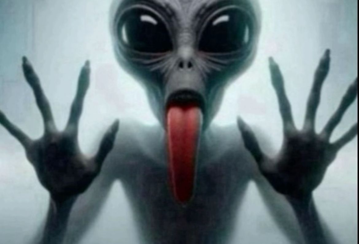 alien.schweizmeme