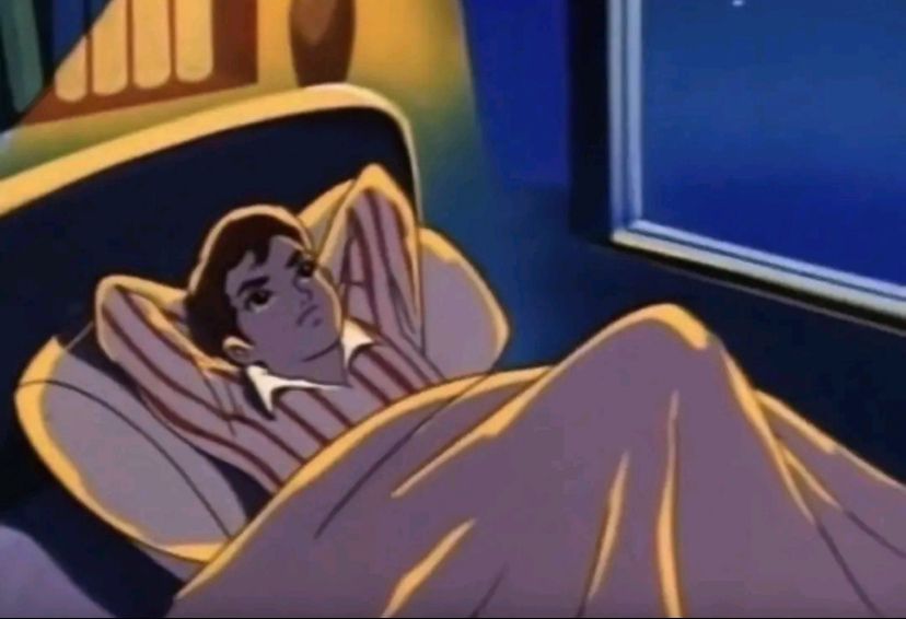 bed.schweizmeme