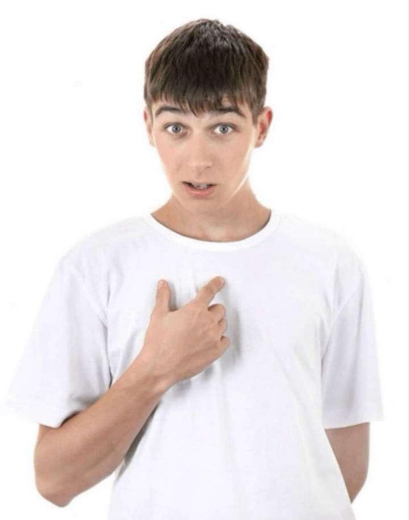 vro.schweizmeme