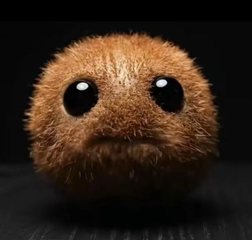 kiwi.schweizmeme