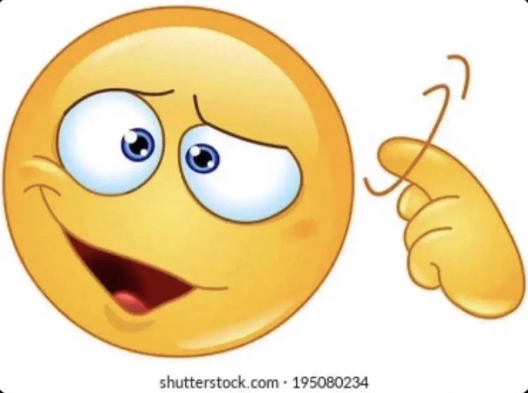 reta.schweizmeme