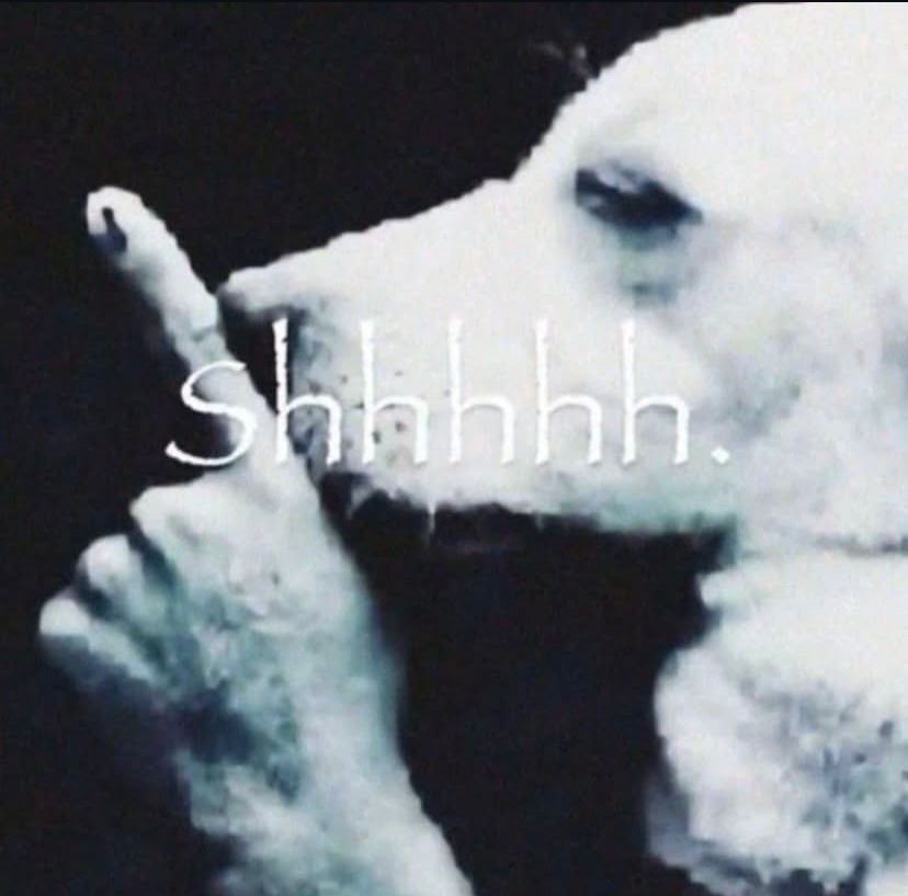 shhh.schweizmeme